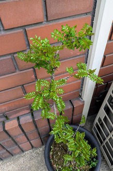 PXL_20250330_012740204~2.jpg