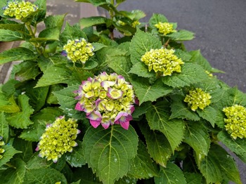 PXL_20250517_025115227~2.jpg