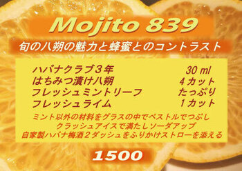 n839-0e85a.jpg